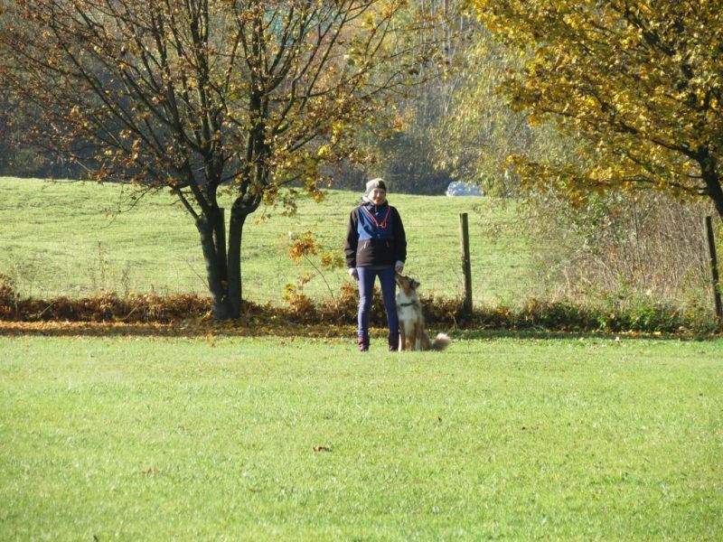 Begleithundeprüfung Herbst 2015
