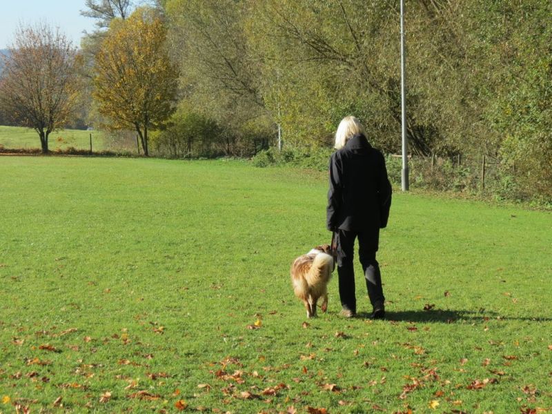 Begleithundeprüfung Herbst 2015