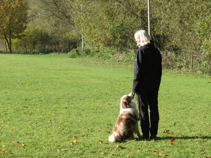 Begleithundeprüfung Herbst 2015