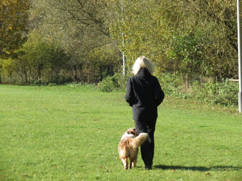 Begleithundeprüfung Herbst 2015