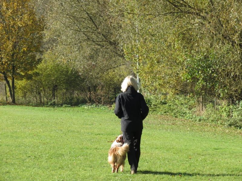 Begleithundeprüfung Herbst 2015