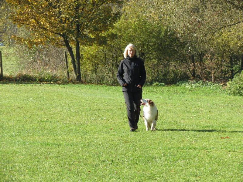 Begleithundeprüfung Herbst 2015
