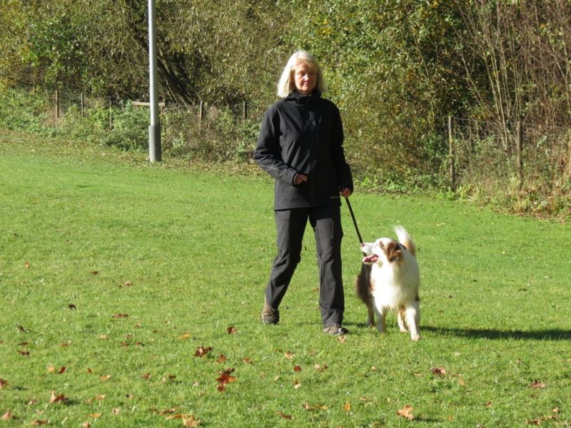 Begleithundeprüfung Herbst 2015
