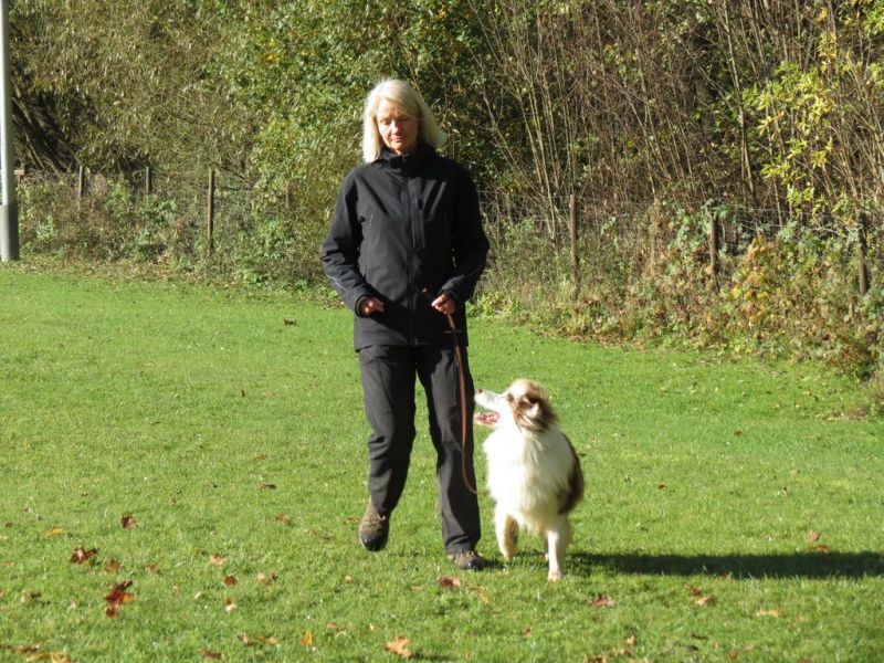 Begleithundeprüfung Herbst 2015