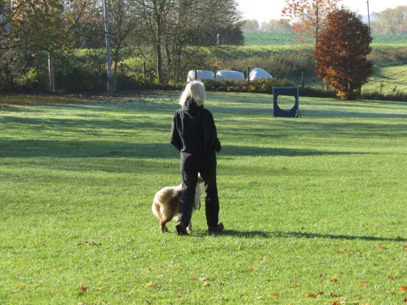 Begleithundeprüfung Herbst 2015
