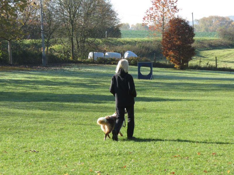 Begleithundeprüfung Herbst 2015