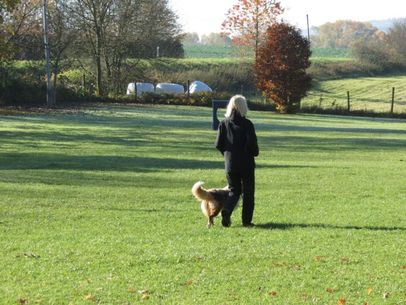 Begleithundeprüfung Herbst 2015