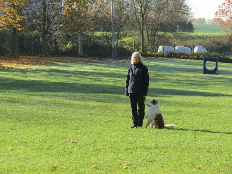 Begleithundeprüfung Herbst 2015