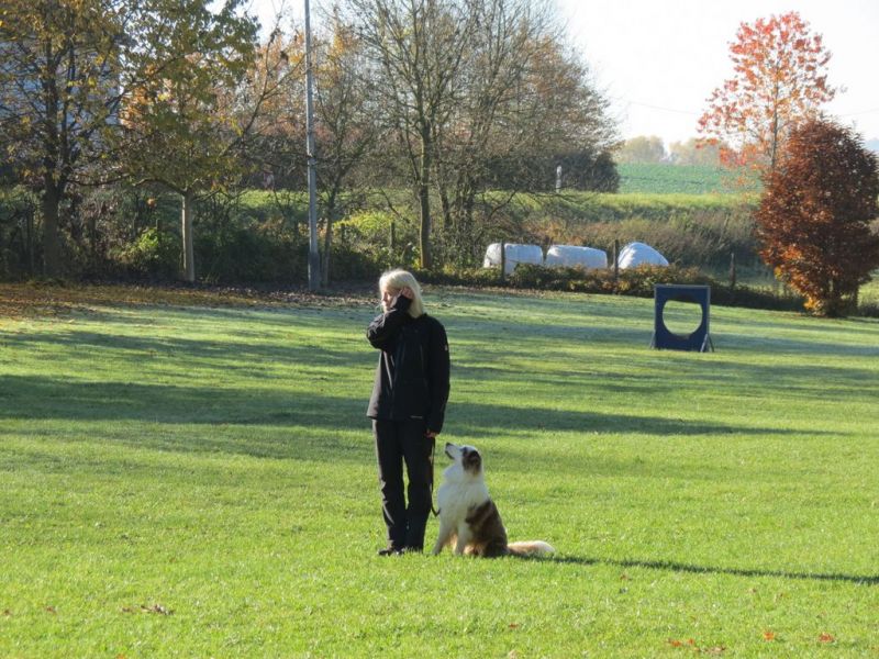 Begleithundeprüfung Herbst 2015
