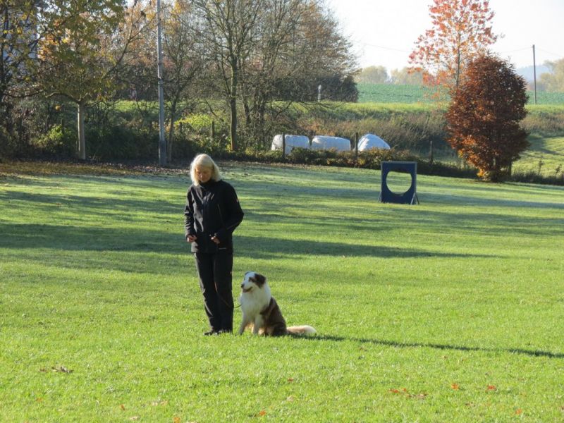 Begleithundeprüfung Herbst 2015