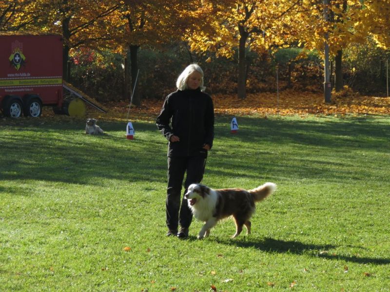 Begleithundeprüfung Herbst 2015