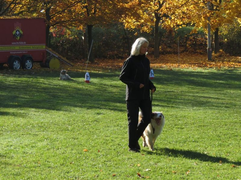 Begleithundeprüfung Herbst 2015