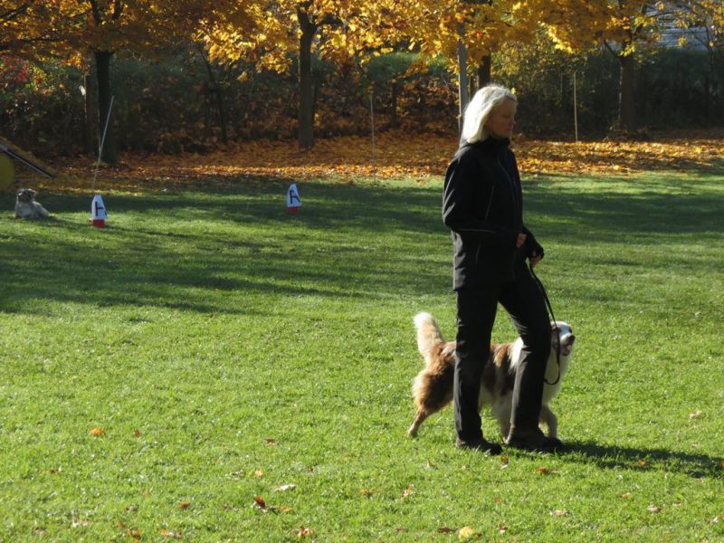 Begleithundeprüfung Herbst 2015