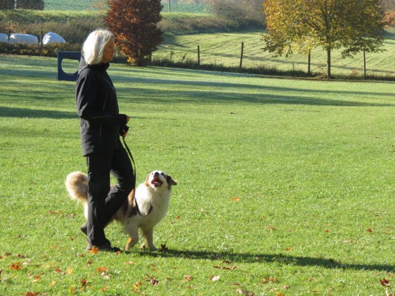 Begleithundeprüfung Herbst 2015