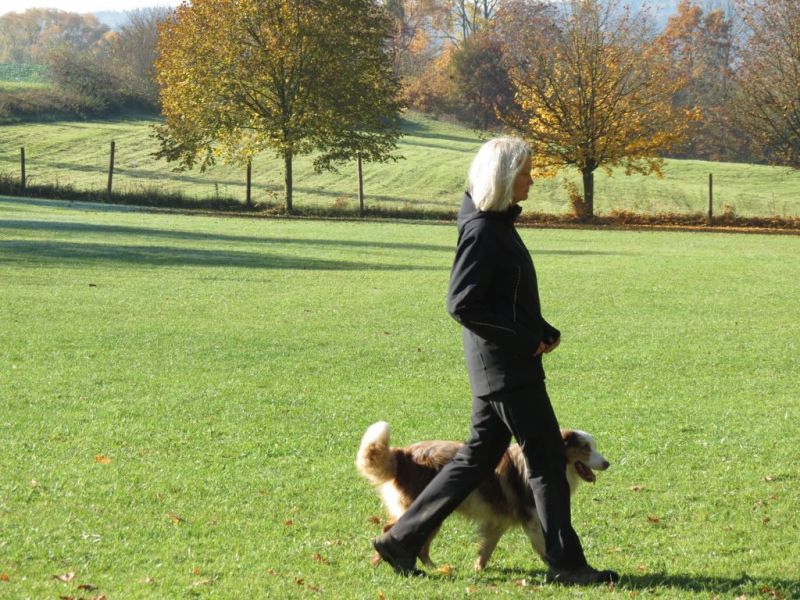 Begleithundeprüfung Herbst 2015