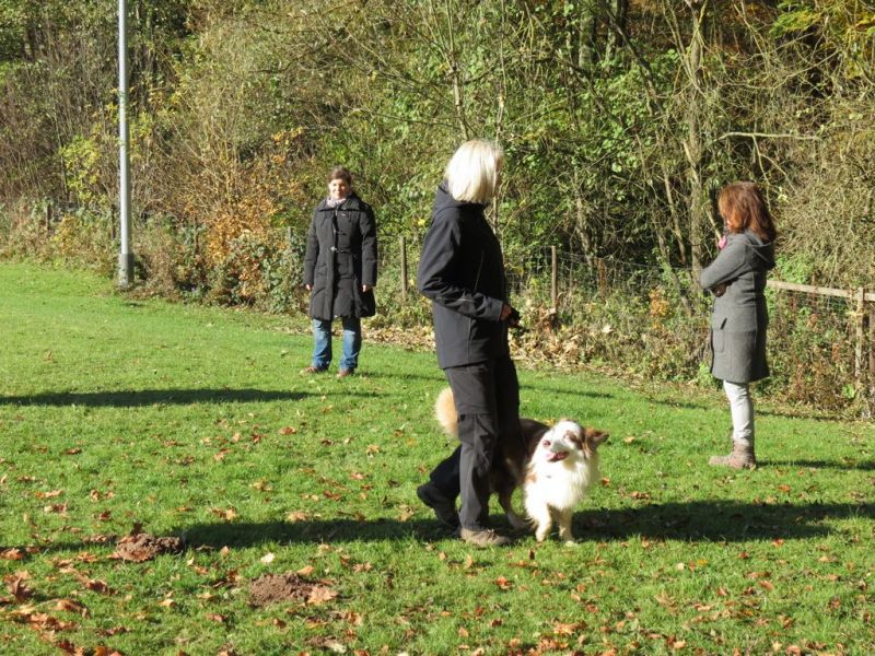 Begleithundeprüfung Herbst 2015