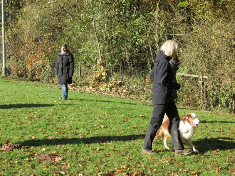 Begleithundeprüfung Herbst 2015