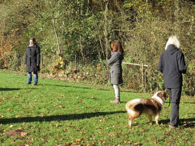 Begleithundeprüfung Herbst 2015