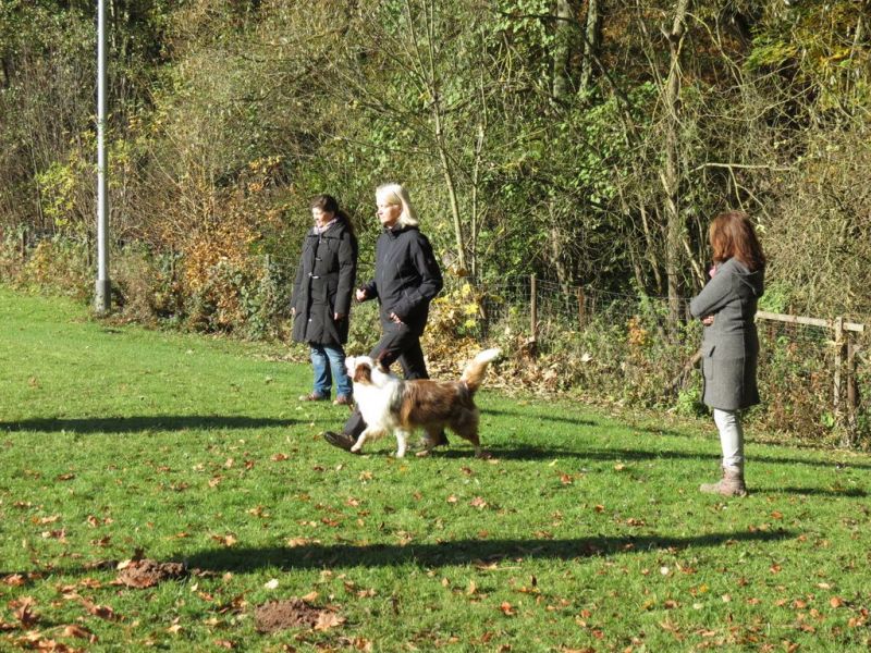 Begleithundeprüfung Herbst 2015