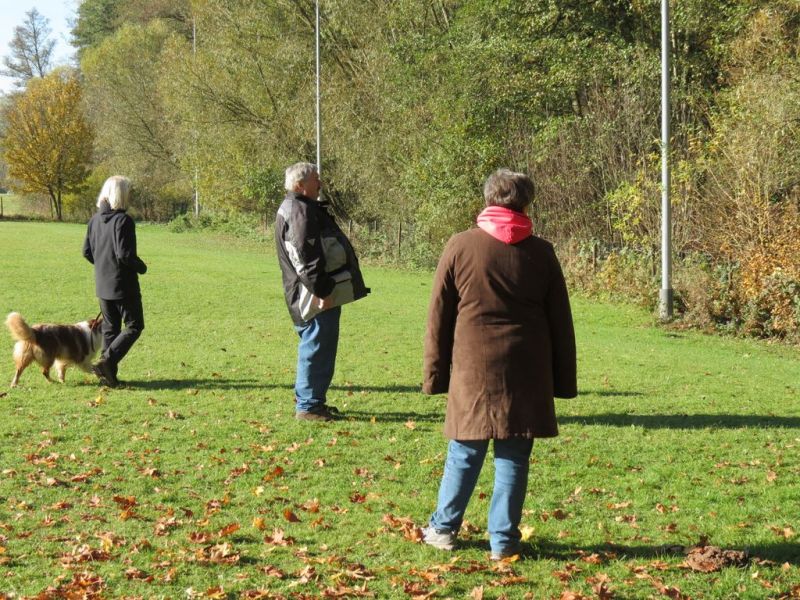 Begleithundeprüfung Herbst 2015