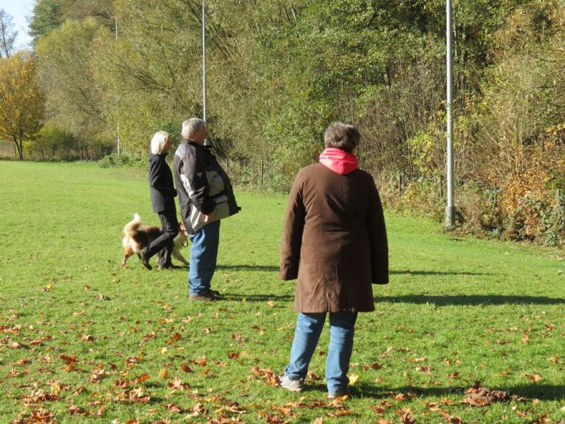 Begleithundeprüfung Herbst 2015