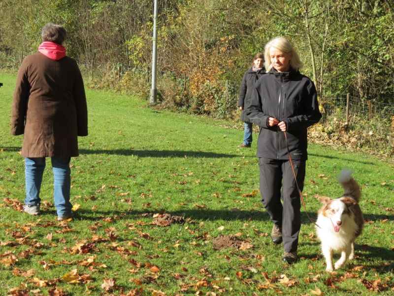 Begleithundeprüfung Herbst 2015