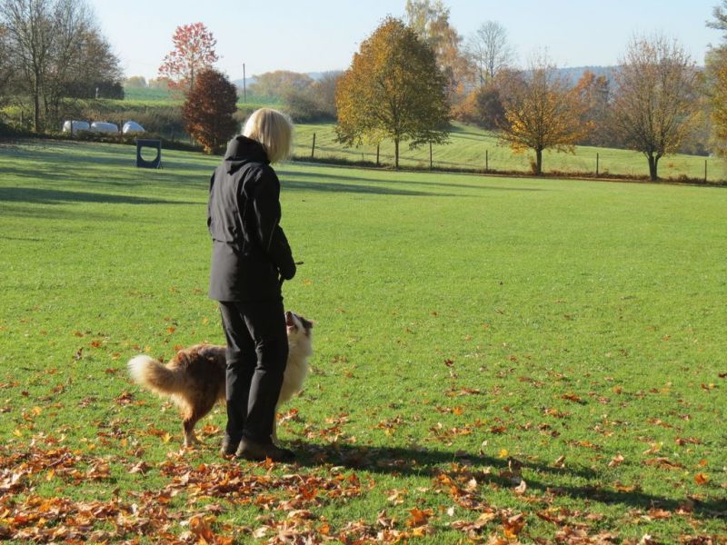 Begleithundeprüfung Herbst 2015