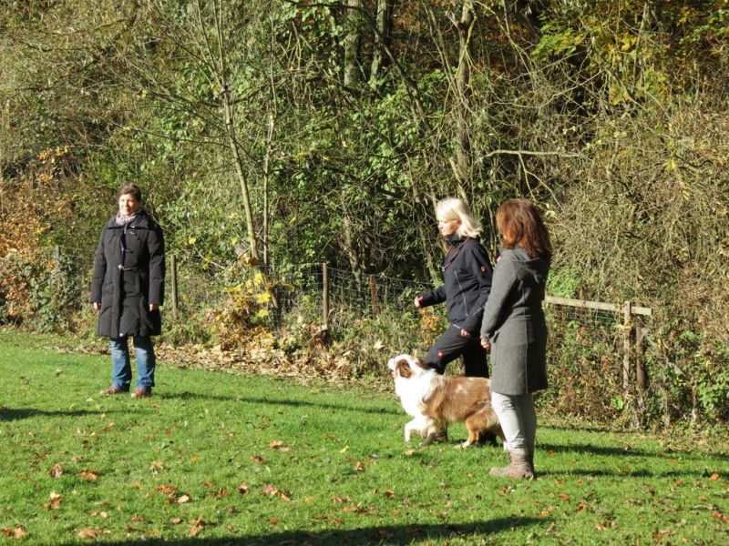 Begleithundeprüfung Herbst 2015
