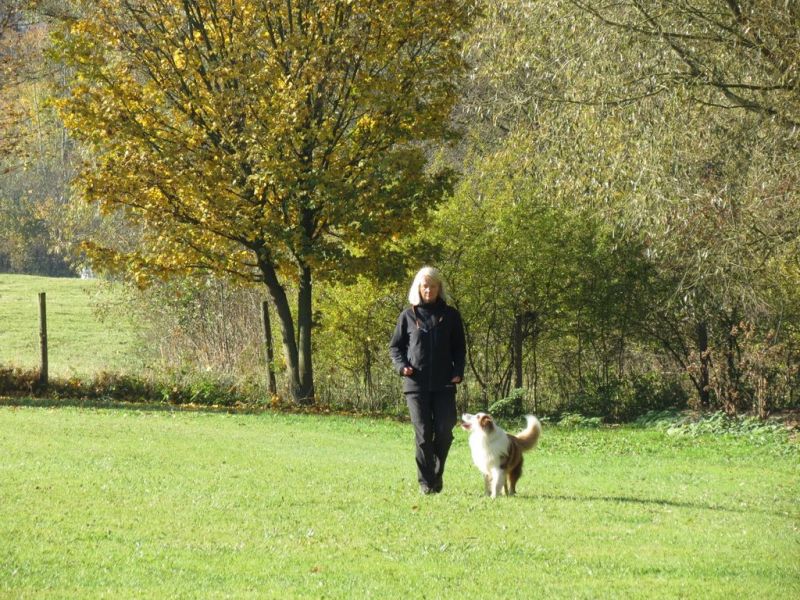 Begleithundeprüfung Herbst 2015