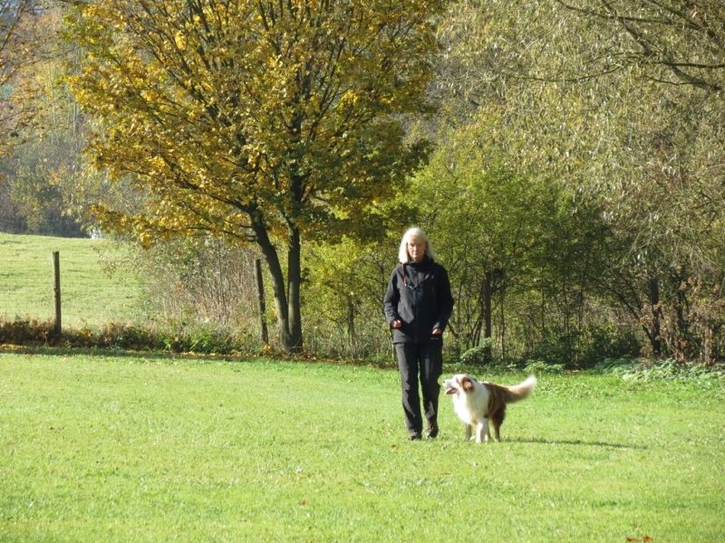 Begleithundeprüfung Herbst 2015