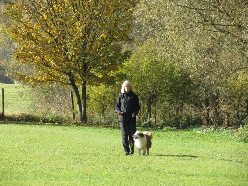 Begleithundeprüfung Herbst 2015