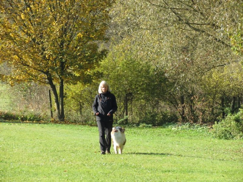 Begleithundeprüfung Herbst 2015