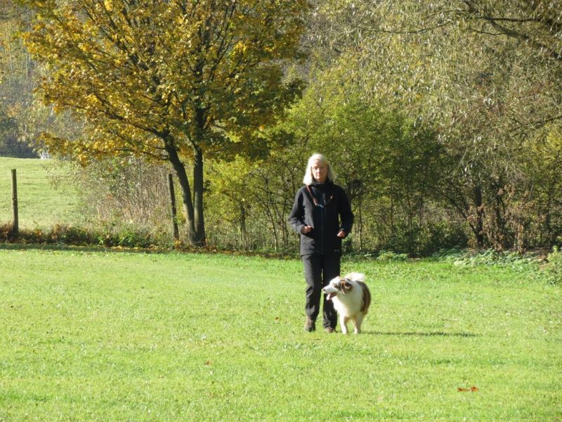 Begleithundeprüfung Herbst 2015