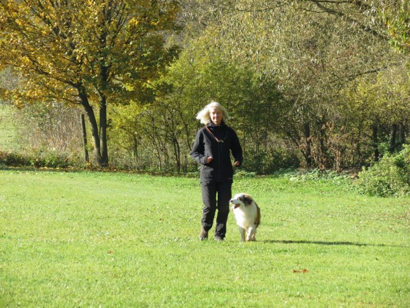 Begleithundeprüfung Herbst 2015