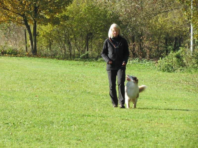 Begleithundeprüfung Herbst 2015