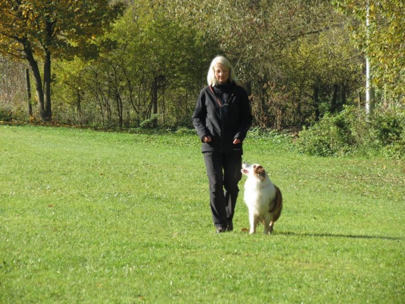 Begleithundeprüfung Herbst 2015