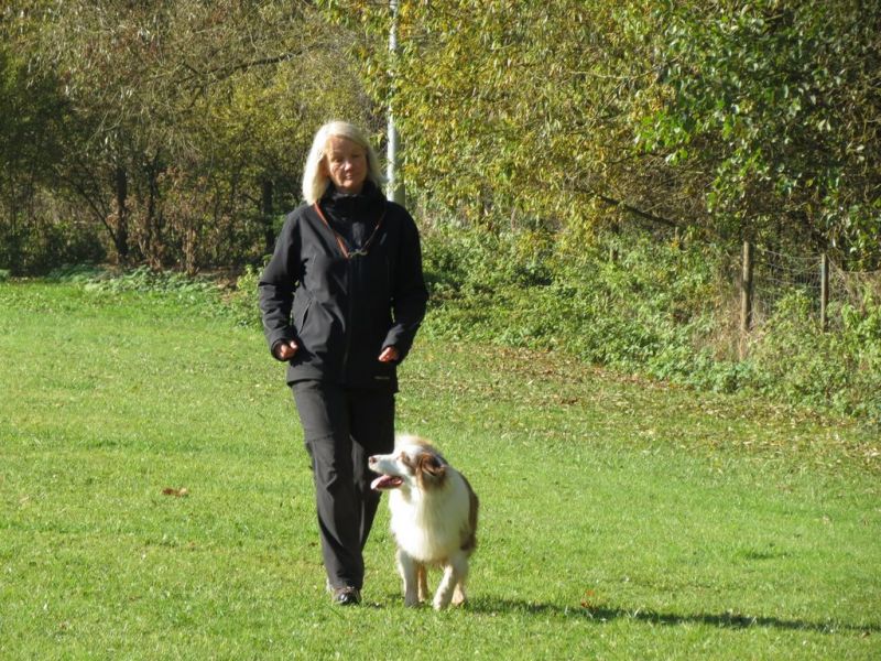Begleithundeprüfung Herbst 2015