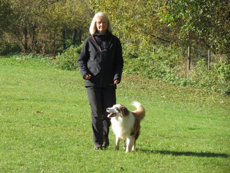 Begleithundeprüfung Herbst 2015