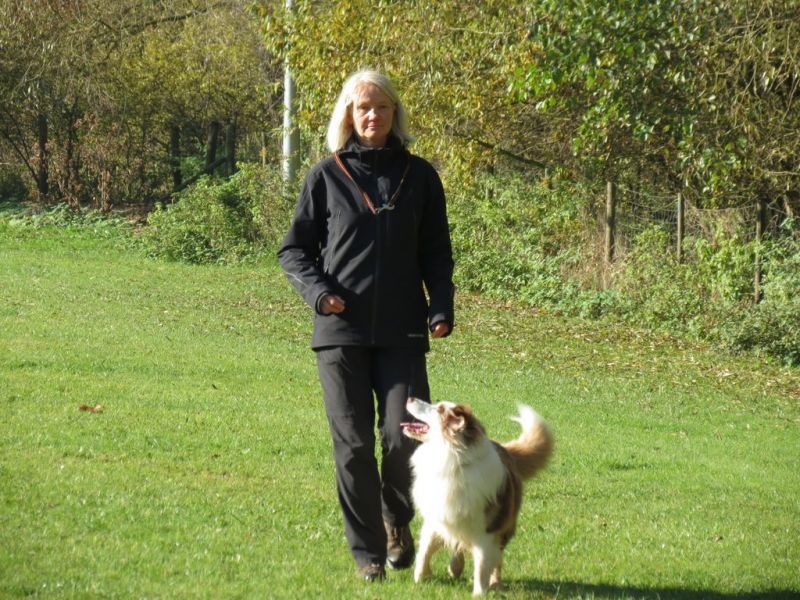 Begleithundeprüfung Herbst 2015