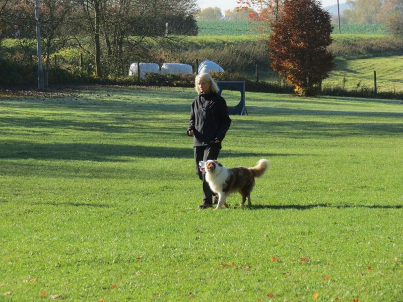 Begleithundeprüfung Herbst 2015