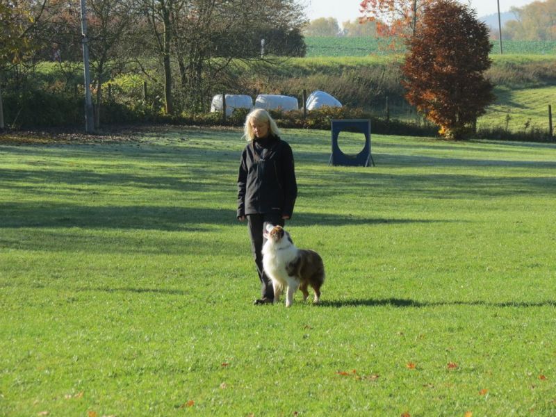 Begleithundeprüfung Herbst 2015