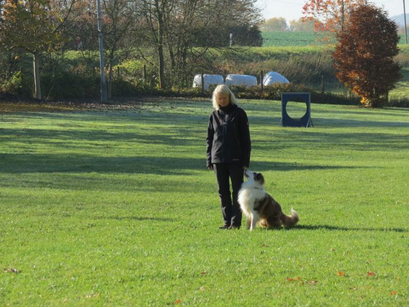 Begleithundeprüfung Herbst 2015