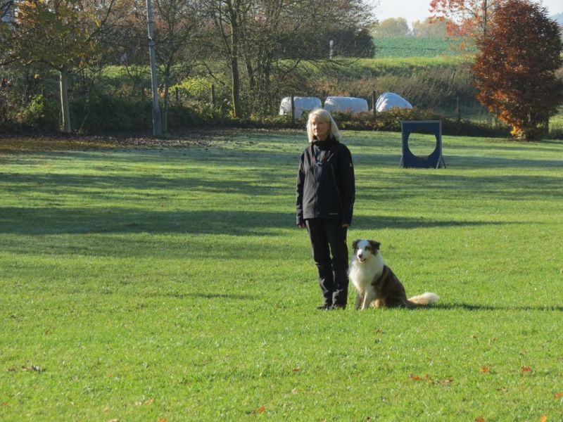 Begleithundeprüfung Herbst 2015