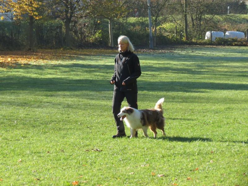 Begleithundeprüfung Herbst 2015