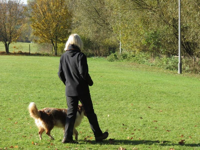Begleithundeprüfung Herbst 2015