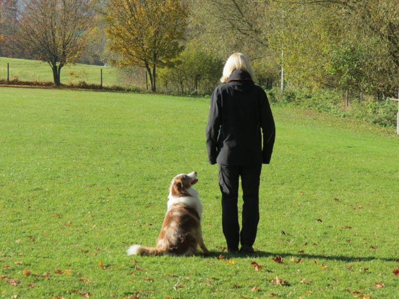 Begleithundeprüfung Herbst 2015