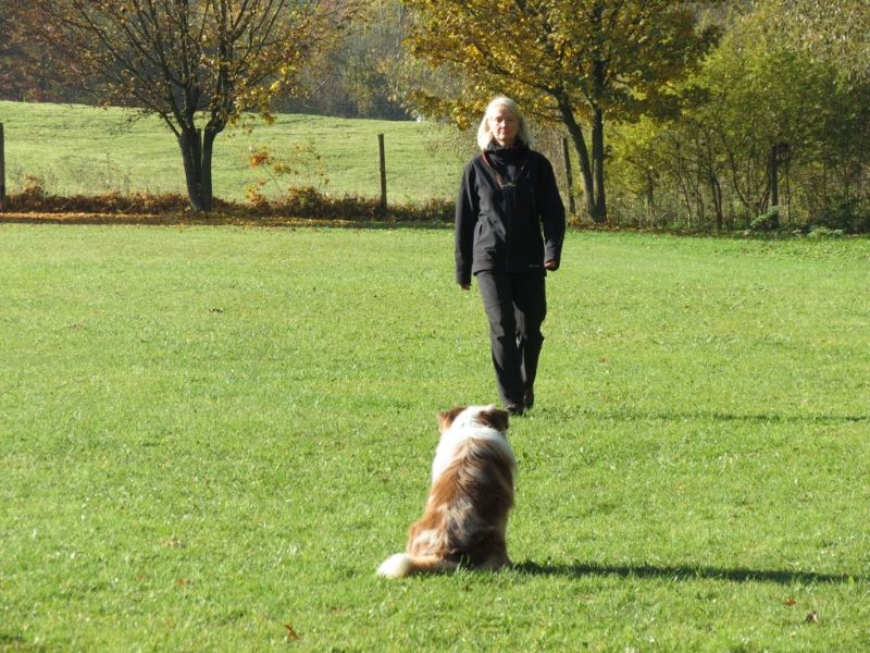 Begleithundeprüfung Herbst 2015