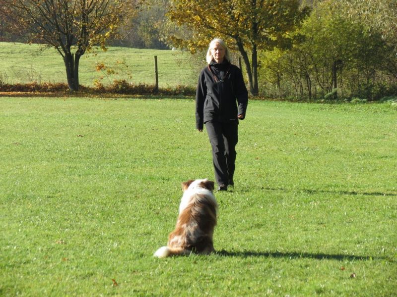 Begleithundeprüfung Herbst 2015