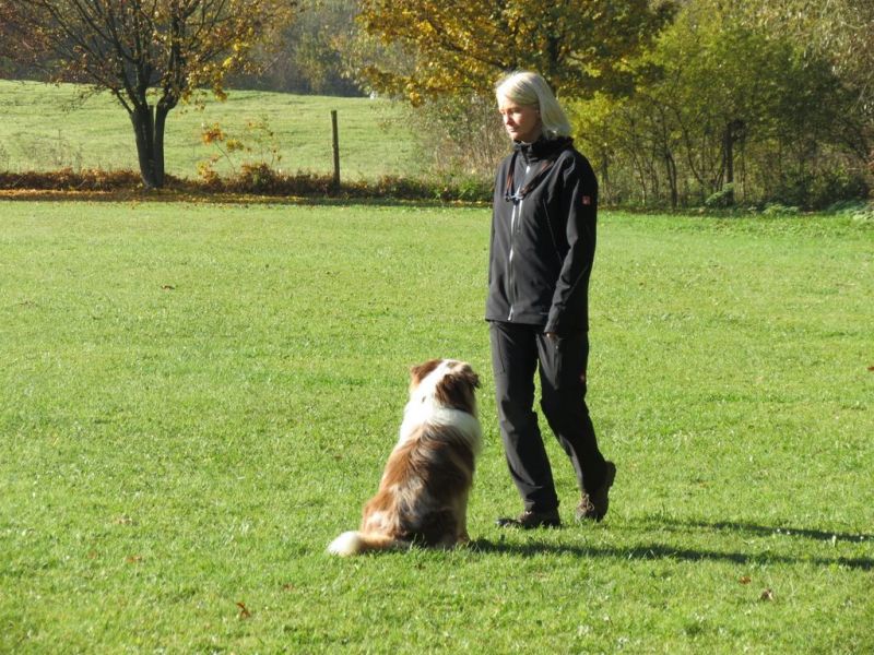 Begleithundeprüfung Herbst 2015