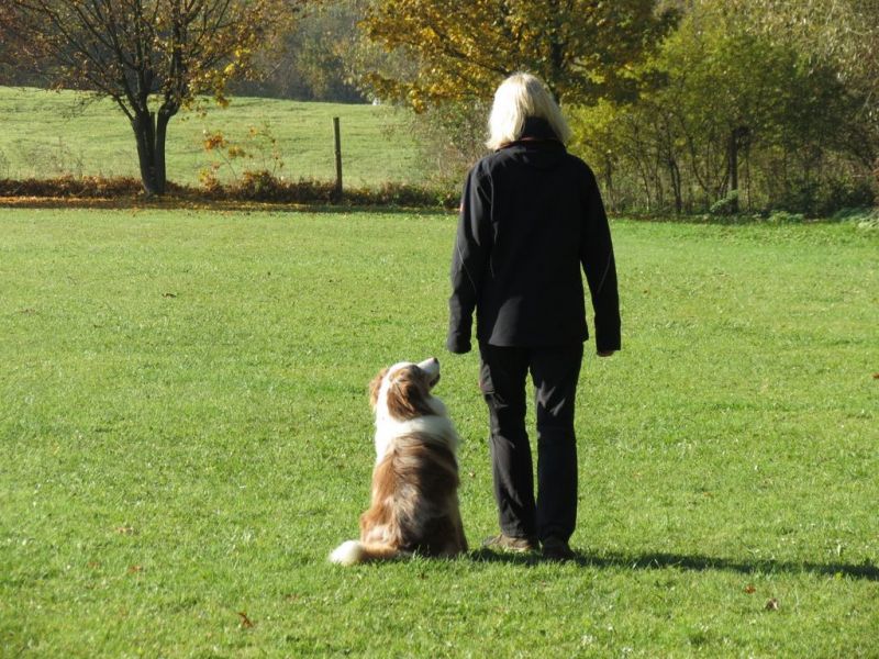 Begleithundeprüfung Herbst 2015